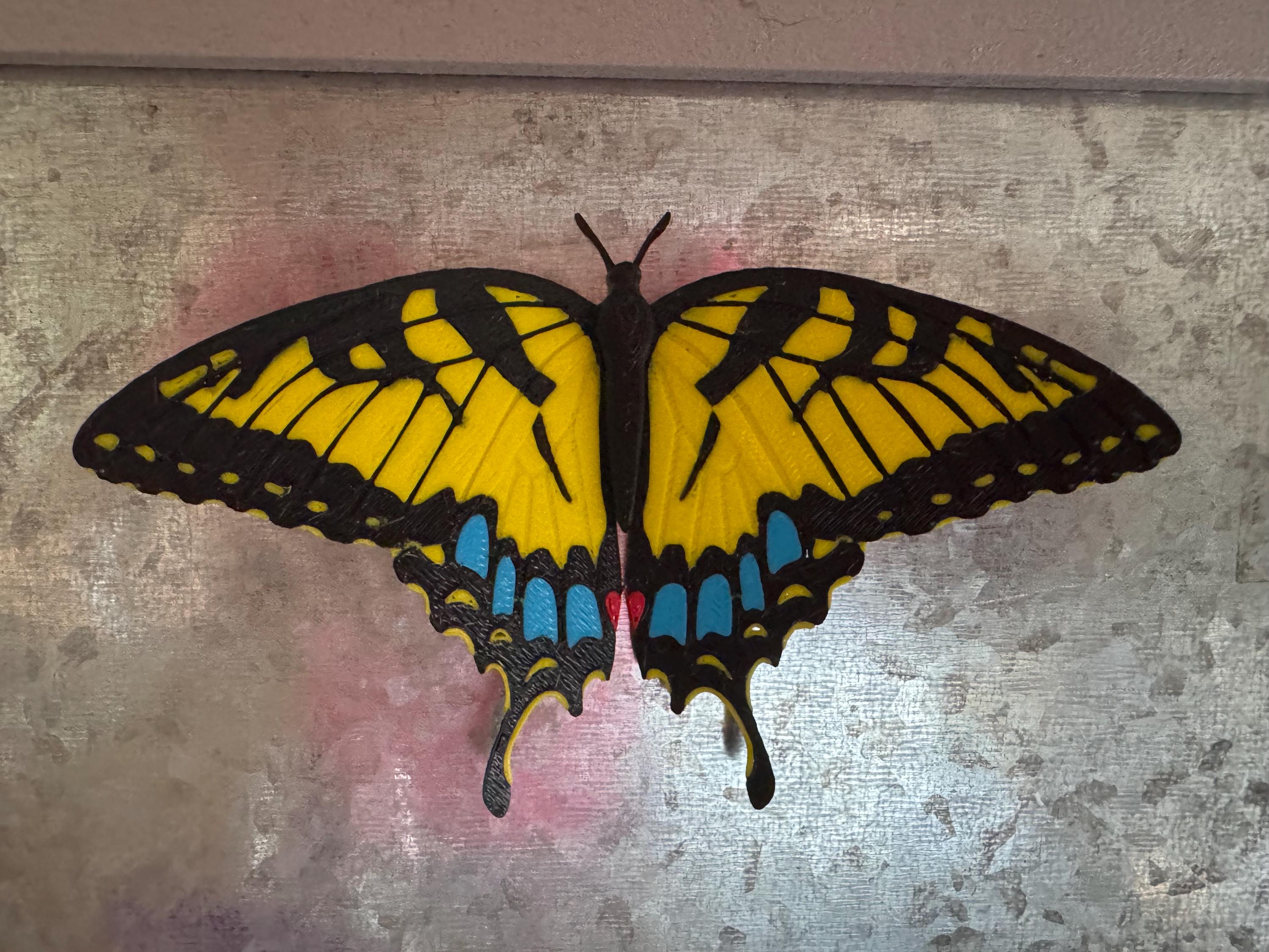 Butterflies | Magnetic | 3D Printed