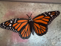 Butterflies | Magnetic | 3D Printed