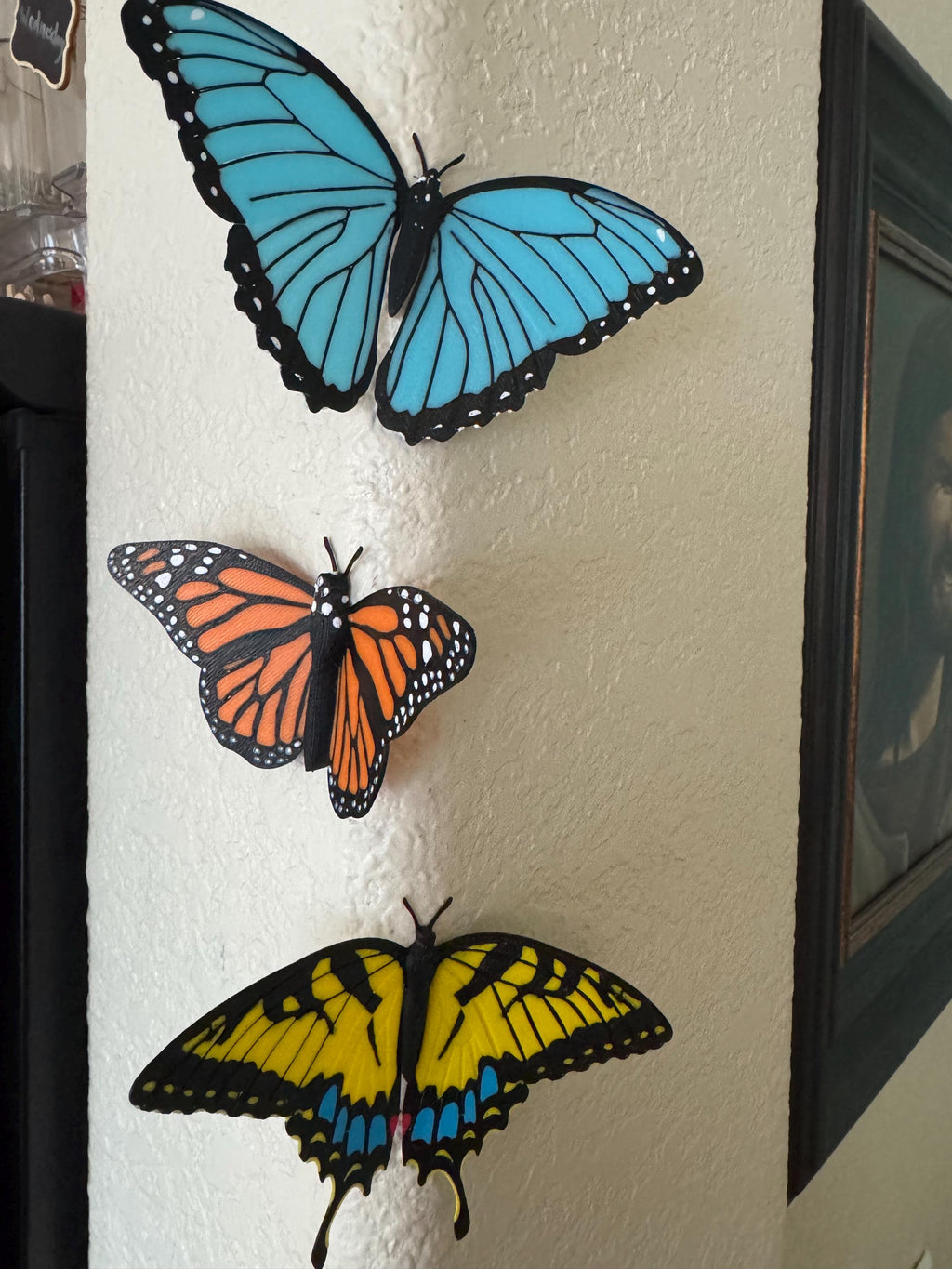 Butterflies | Magnetic | 3D Printed