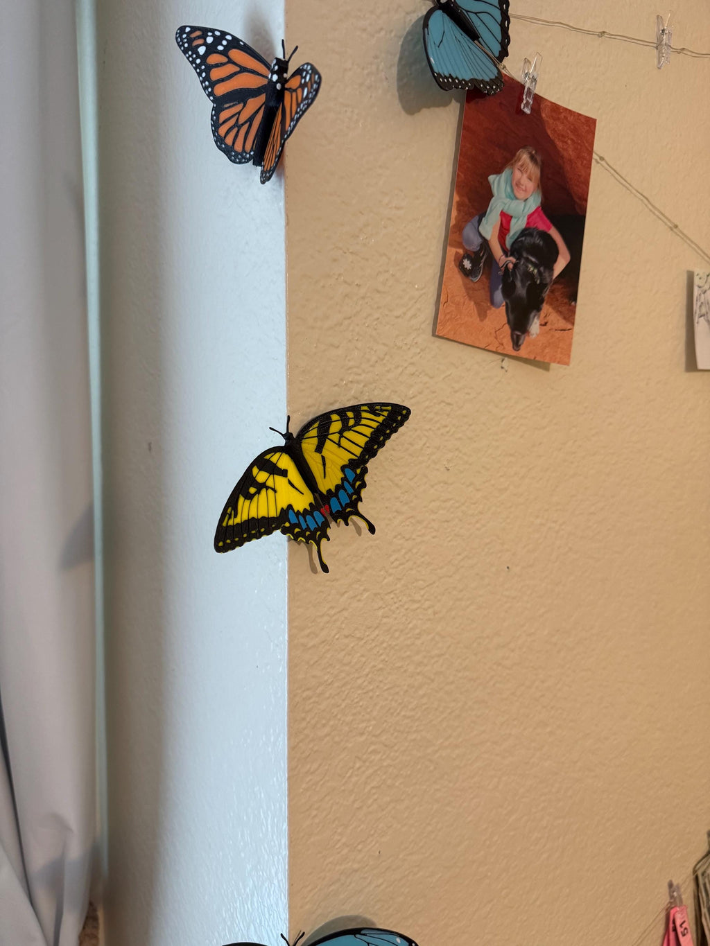 Butterflies | Magnetic | 3D Printed