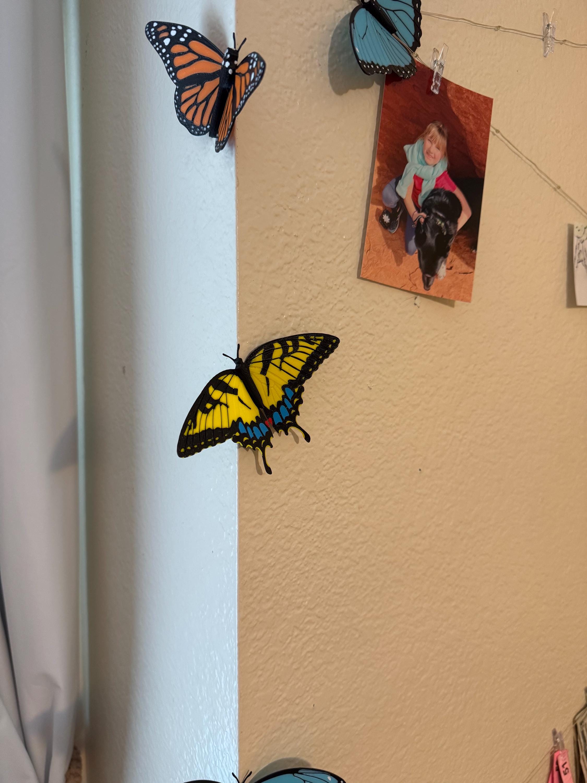 Butterflies | Magnetic | 3D Printed